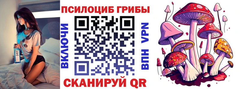 Псилоцибиновые грибы Psilocybine cubensis  Луховицы 